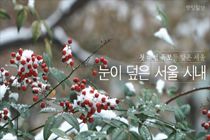소복이 쌓인 ‘하얀 이불’ 덮은 서울은 ‘겨울 왕국’